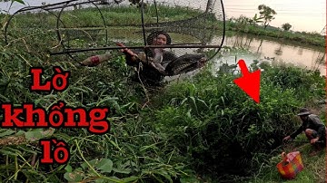 Lợp khổng lồ vô đầy cá, câu cá điểm huyền thoại#hcmt