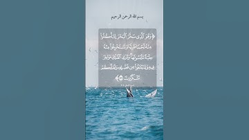 سورة | النحل | الآية ١٤