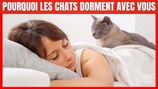 Pourquoi votre Chat dortil avec vous ? 6 raisons que vous allez ADORER !