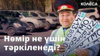 Капитан Қасқырбаев серіктес тапты