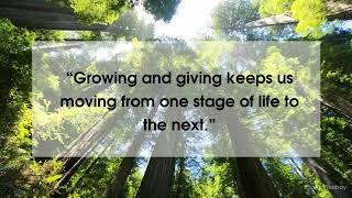 Quotes On Success From Sue Bhatia, Founderchairwoman Of Rose International
