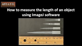 How to measure the length of an object using ImageJ Software screenshot 5