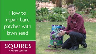 How to Easily Repair Bare Patches in Your Lawn | Squire's Garden Centres