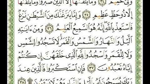 41 -  سورة فصلت 💚 الشيخ  ناصر القطامي