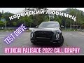 Palisade Calligraphy 2022. Test drive in Korea