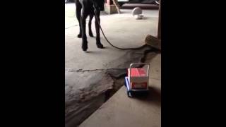 五十六VS台車ラジコン