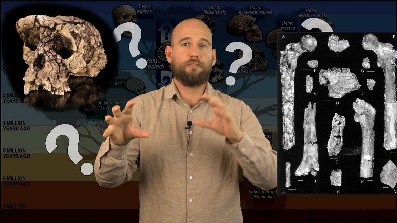 Cosa ancora non sappiamo sull'Evoluzione Umana?