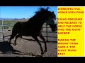 How To Correct A Horse Who Acts Disrespectful & food protective ear pinning - Rick Gore Horsemanship