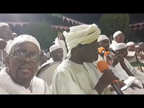 طلع البدر علينا أولاد البرعي احتفالات المولد النبوي الشريف الزريبة ١٤٤٦ ٢٠٢٤م