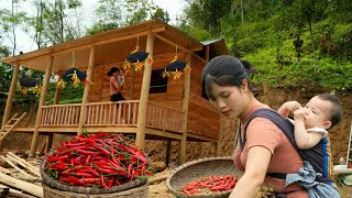 Harvesting Chili Peppers - Complete 2/3 of the Fence in front of the CABIN - Make a lucky CON fruit