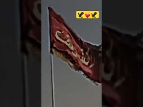 السادة الأشراف الهواشم احفاد المصطفى