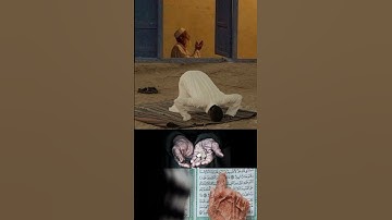 سوره التوبه |قارئ ماهر المعيقلي #فلسطين #اكسبلور #المصحف #راحة_نفسية_قرآن #ترند #فلسطين_حرة