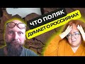 ПОЛЯКИ НЕНАВИДЯТ РУССКИХ? ИНТЕРВЬЮ С ПОЛЯКОМ/ ЧТО ПОЛЯКИ ДУМАЮТ О РОССИЯНАХ