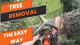 Backyard Tree Removal (Zipline to save the guys)