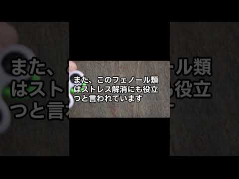 🔥バーベキュー煙で若返り？！信じられない健康効果をチェック！バーベキューが秘める驚きの健康秘訣🍖💨 詳細を知りたいなら今すぐクリック！