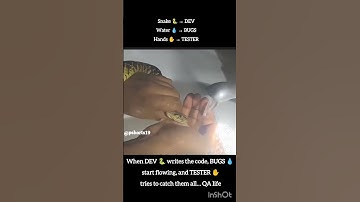 “DEV 🐍 vs TESTER ✋ vs BUGS 💧 | QA Life Explained in 10 Secs”|#QALife #funny #memes  #BugLife #shorts