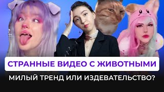 СТРАННЫЕ ЖИВОТНЫЕ В ТИК ТОК. Милый тренд или издевательство?