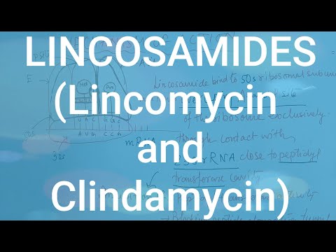 Video: Lincomycin - Bruksanvisning, Beskrivning, Recensioner