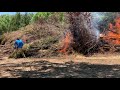 Huge Pile of Trees Fire