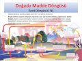 Ekoloji (Madde Dngs) 10