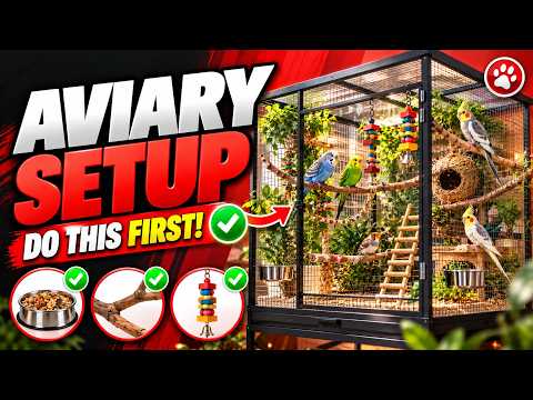 Amazon Parrot Guide video