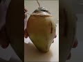 Coconut fresh shorts lal chand vlogs