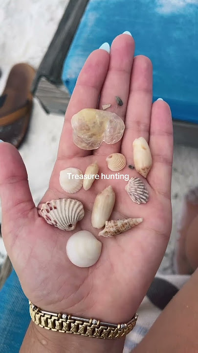 treasure hunting
