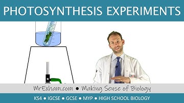 Photosynthesis Experiments (starch leaf and pond weed) - GCSE Biology (9-1)