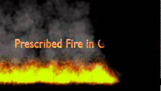 Prescribed Fire -- Introduction and Basic Information