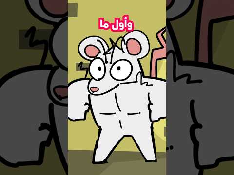 مشكلتي مع الجرذان