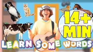 animals learn some words and more with matt tunes and bell