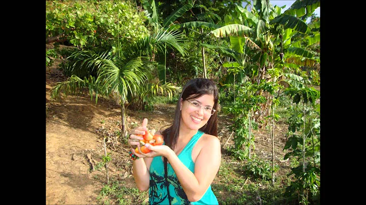 Carmen Arruda