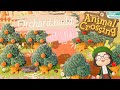 magical fall orchard build✨acnh let's play ep. 9