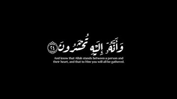 (يأيها الذين آمنوا استجيبوا لله والرسول)|سورة الأنفال|فهد واصل المطيري #krumat #كرومات #شاشه_سوداء