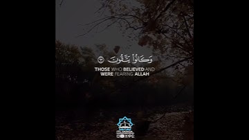 سعد الغامدي سورة يونس/صوت يقتل حزنك♥️⛅️/حالات واتساب القران/حالات واتس دينية