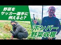 【体験】野菜を選手に例えると？ボンバーが野菜収穫お手伝い！ | 中澤佑二