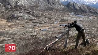 Viking Trail - Tree - Norway Precision rifle - Lithgow 105