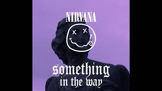 Nirvana - Something In The Way (Vocal Cover)