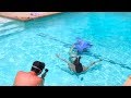 How I Film my Underwater Videos | Cloe Feldman