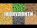 Інокулянти ENZIM Agro - Огляд, склад, переваги використання