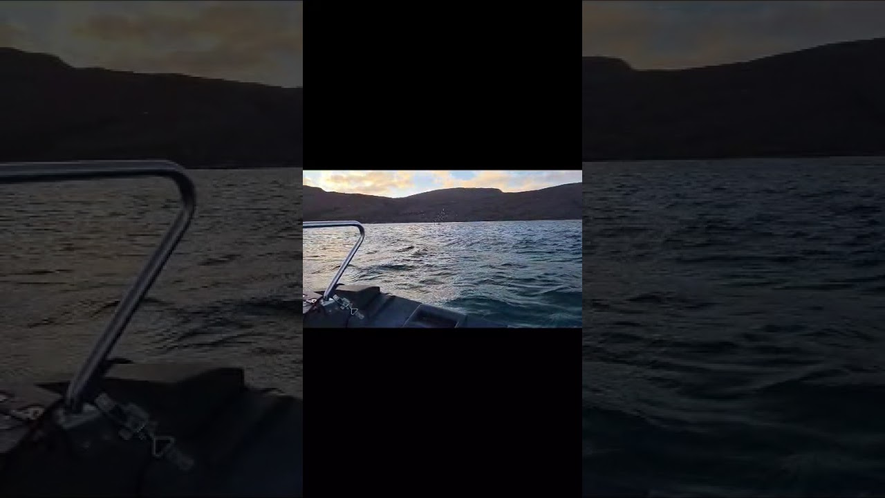 Humpy Off Ullapool 12/12/25