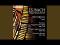 Miniature de la vidéo de la chanson Choral Partita "Sei Gegrüßet, Jesu Gütig": Bwv 768, Chorale