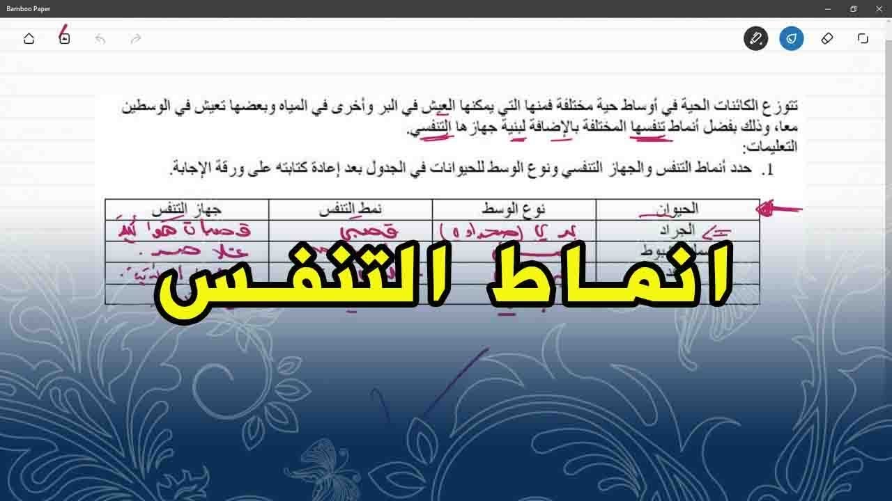 علوم طبيعية السنة الثانية متوسط تمرين على انماط التنفس عند الحيوانات