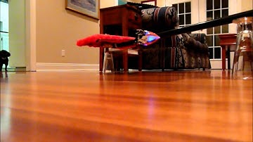 Blade Mcpx Lowest Inverted Limbo