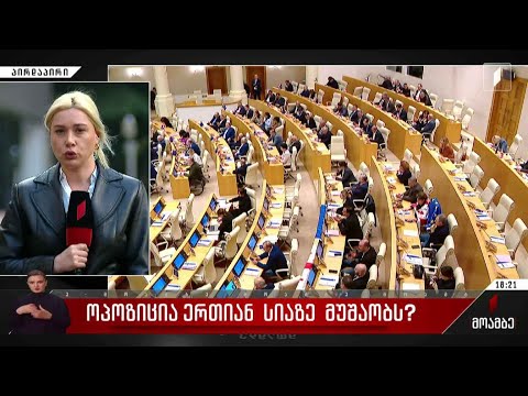 ოპოზიცია ერთიან სიაზე მუშაობს?