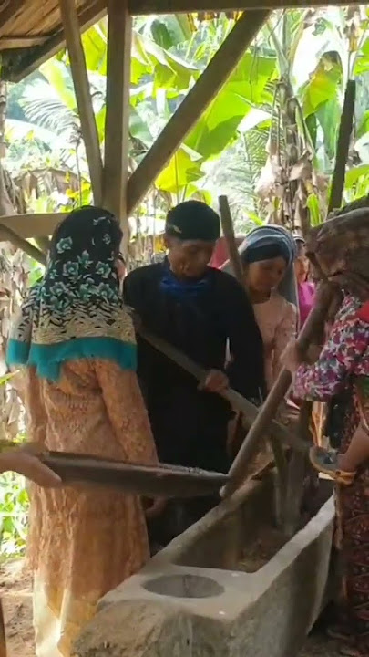 Seni Musik Menumbuk Padi, Jelajah Alam Pakidulan #ahorts #pedesaan #alamindahindonesia