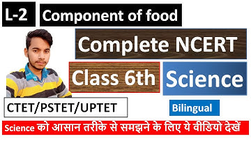 Complete NCERT Science| Class 6 Chapter 2| Component of food |CTET,PSTET,UPTET,BANKING|