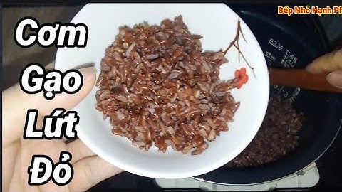 Cách Nấu Cơm Gạo Lứt Đỏ bằng nồi cơm Nhật Bản Zojirushi NP_BA10 cơm mềm dẻo rất thơm ngon