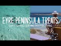 Eyre peninsula treats  cliff camping surfing and dolphin diving  vanlife ep 15