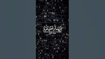سورة الأحزاب تلاوة خاشعة بصوت #سلمان_العتيبي